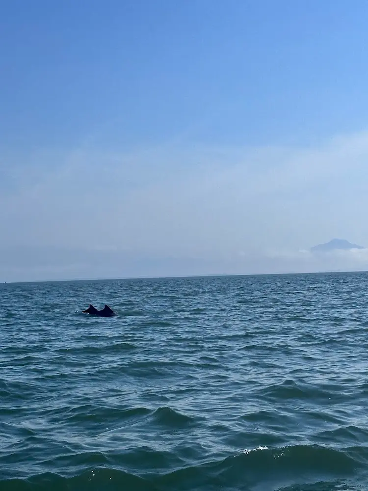 Batismo de Vela — foto 5