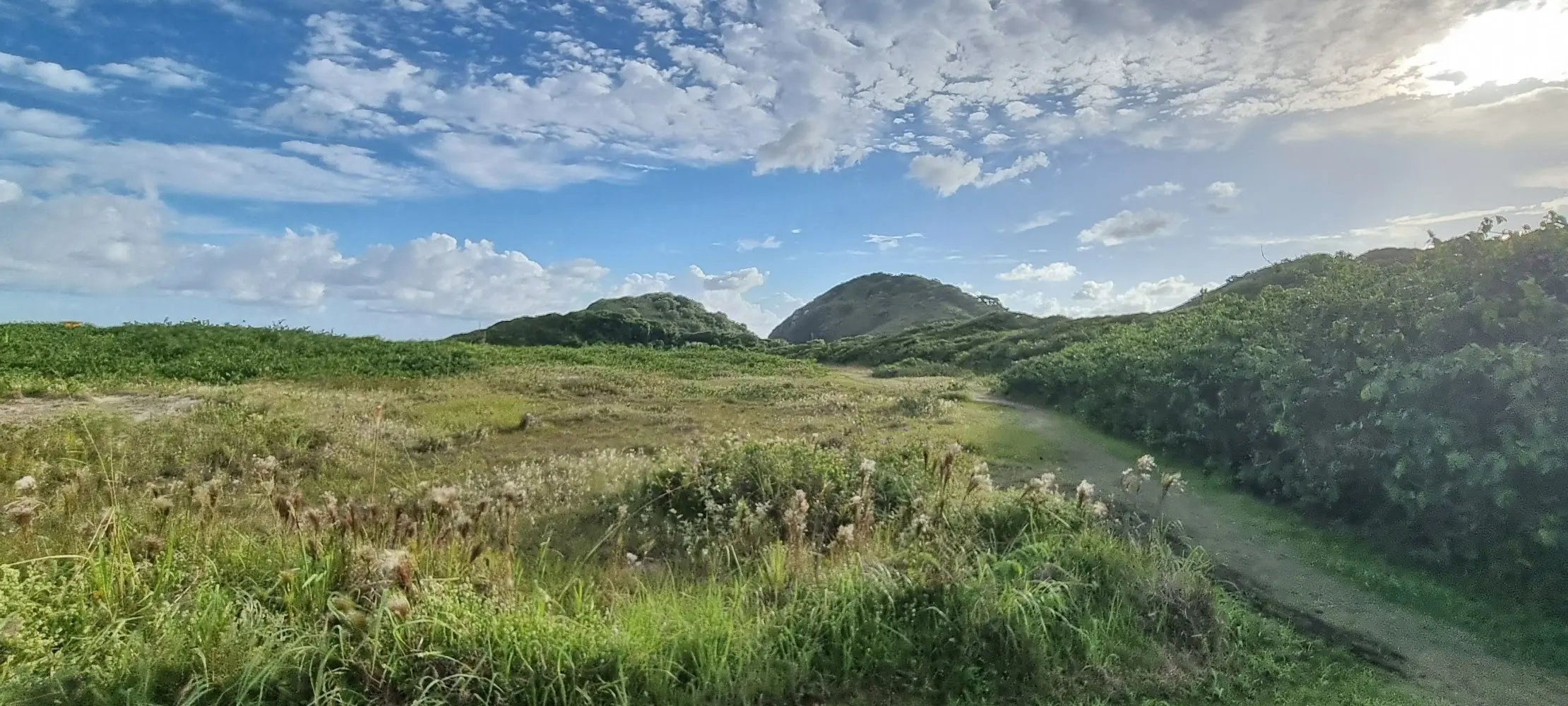 Praia de Fora — foto 5